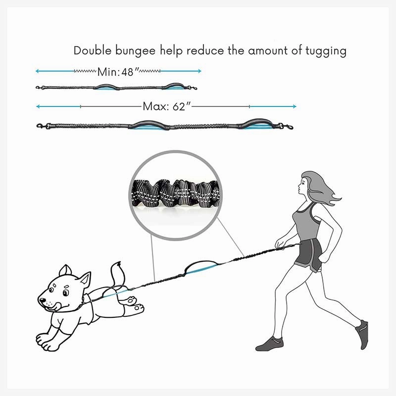 A a Pets?? 2in1 Bungee Hands-Free Leash
