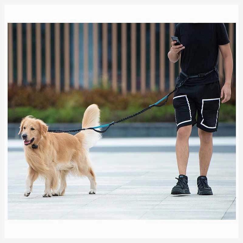 A a Pets?? 2in1 Bungee Hands-Free Leash