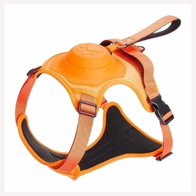 A a Pets' 2in1 No Pull Dog Harness with Built-in Retractable Leash