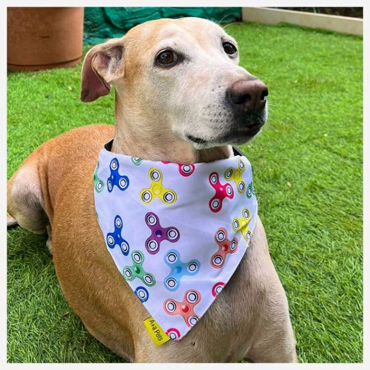 A a Pets' 2in1 Scarf Collar Bandana for Dogs & Cats - Fitbit Collection