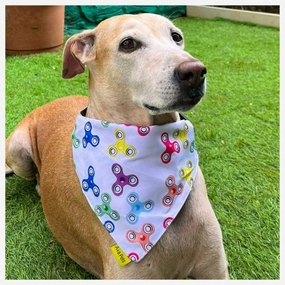A a Pets' 2in1 Scarf Collar Bandana for Dogs & Cats - Fitbit Collection