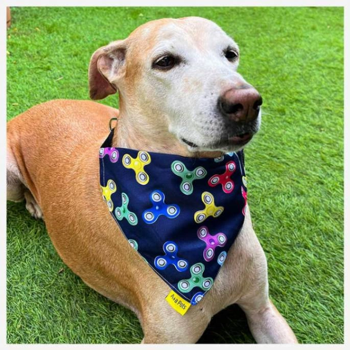 A a Pets' 2in1 Scarf Collar Bandana for Dogs & Cats - Fitbit Collection