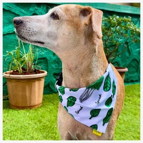 A a Pets' 2in1 Scarf Collar Bandana for Dogs & Cats - Fruit Collection