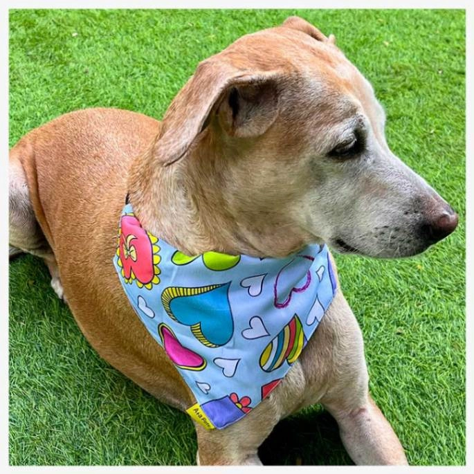 A a Pets' 2in1 Scarf Collar Bandana for Dogs & Cats - Heart Collection