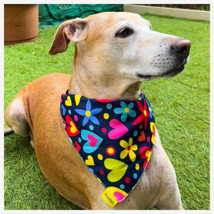A a Pets' 2in1 Scarf Collar Bandana for Dogs & Cats - Heart Collection