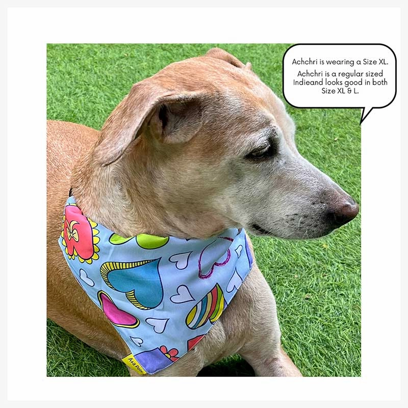 A a Pets' 2in1 Scarf Collar Bandana for Dogs & Cats - Heart Collection