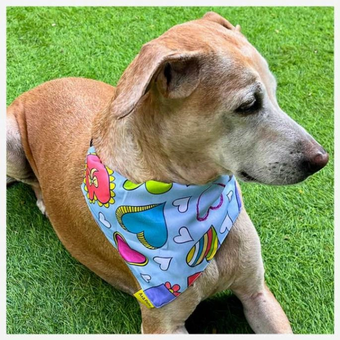 A a Pets' 2in1 Scarf Collar Bandana for Dogs & Cats - Heart Collection