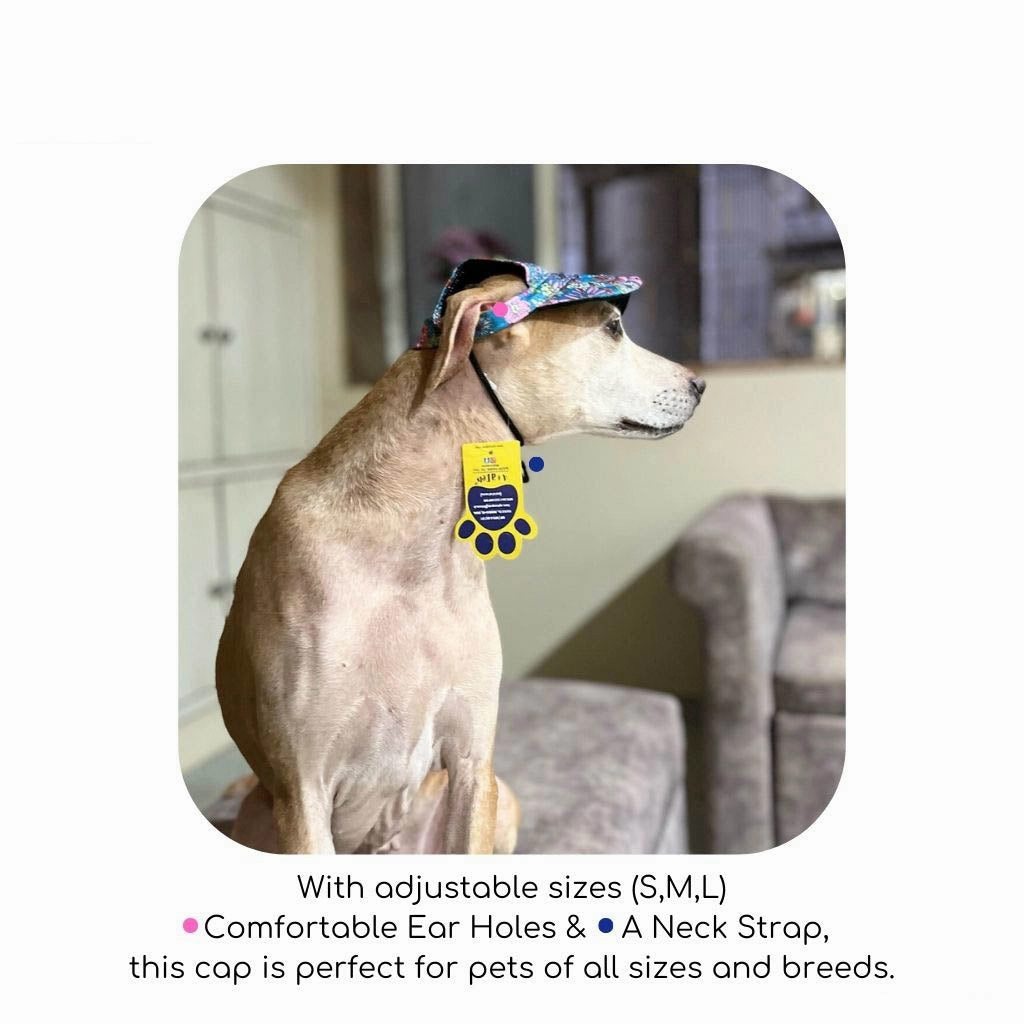 A a Pets' Baseball Cap for Dogs & Cats