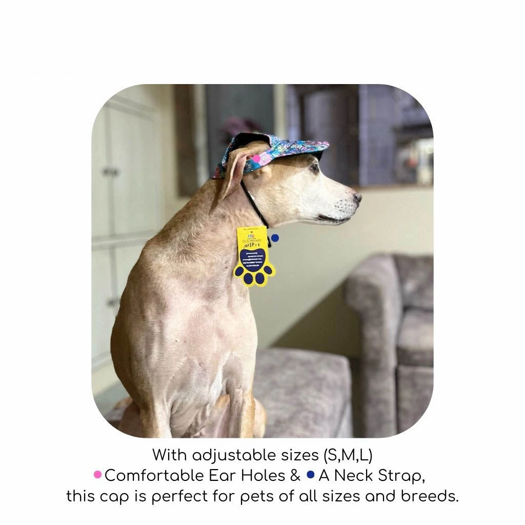 A a Pets' Baseball Cap for Dogs & Cats