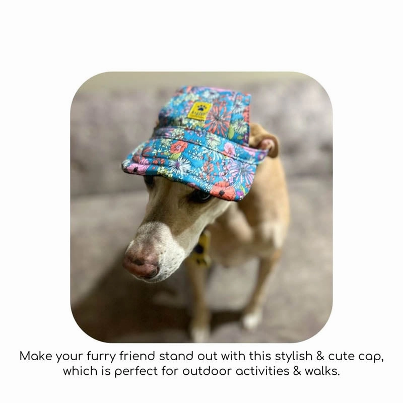 A a Pets' Baseball Cap for Dogs & Cats