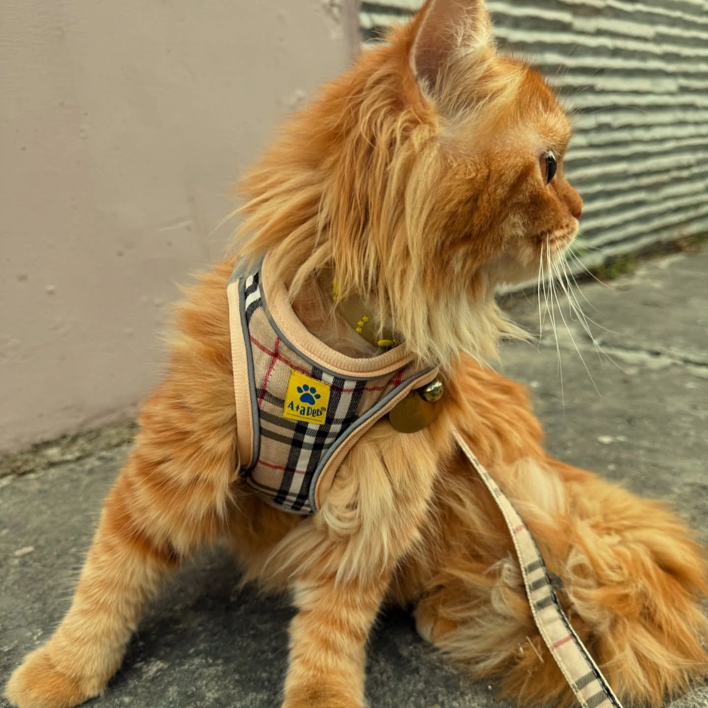 A a Pets' Bur-Berry Checks Harness & Leash Set for Cats & Dogs