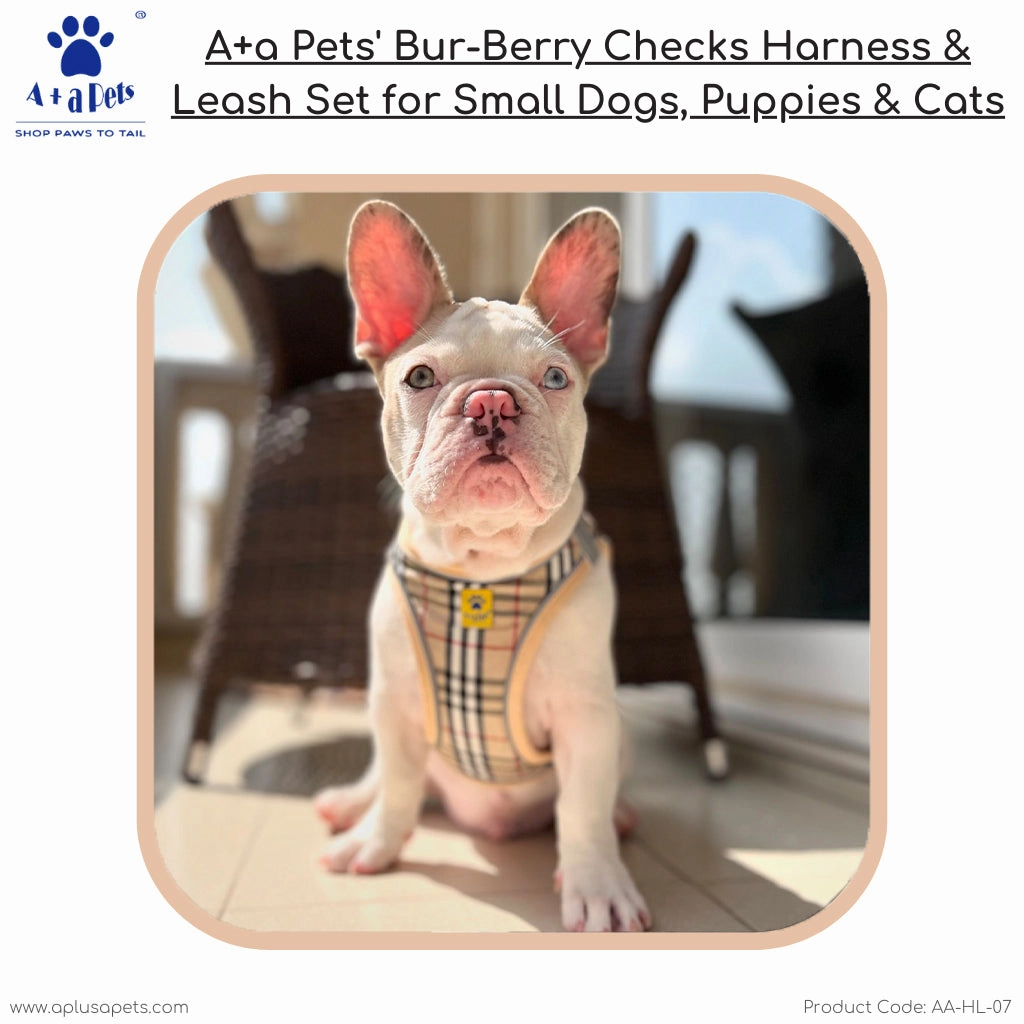 A a Pets' Bur-Berry Checks Harness & Leash Set for Cats & Dogs