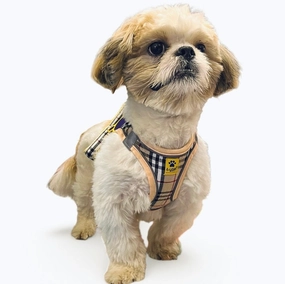 A a Pets' Bur-Berry Checks Harness & Leash Set for Cats & Dogs