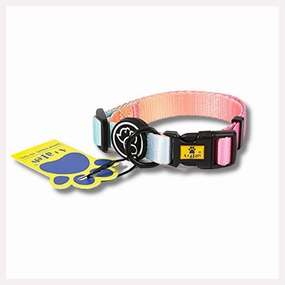 A a Pets' Collar for Dogs & Cats Gradient Design