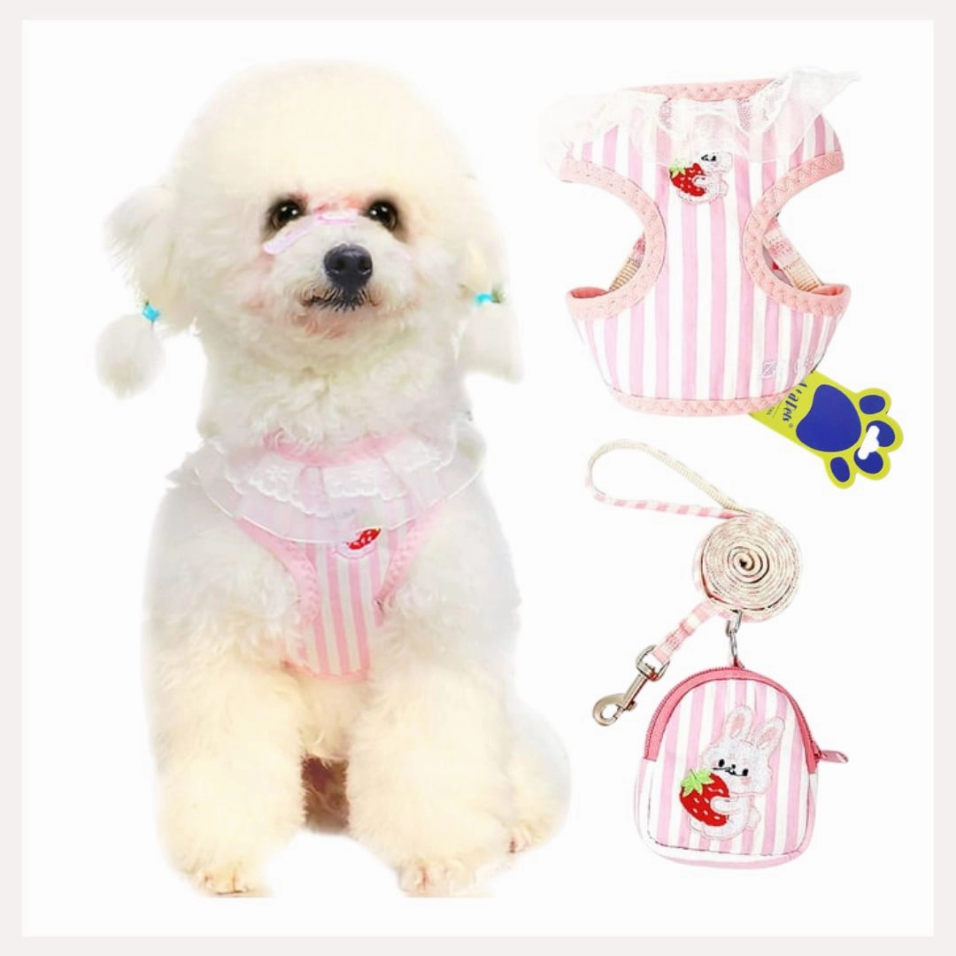 A a Pets' Combo of 3 BackPack Harness, Leash & Bag Set - Stripes