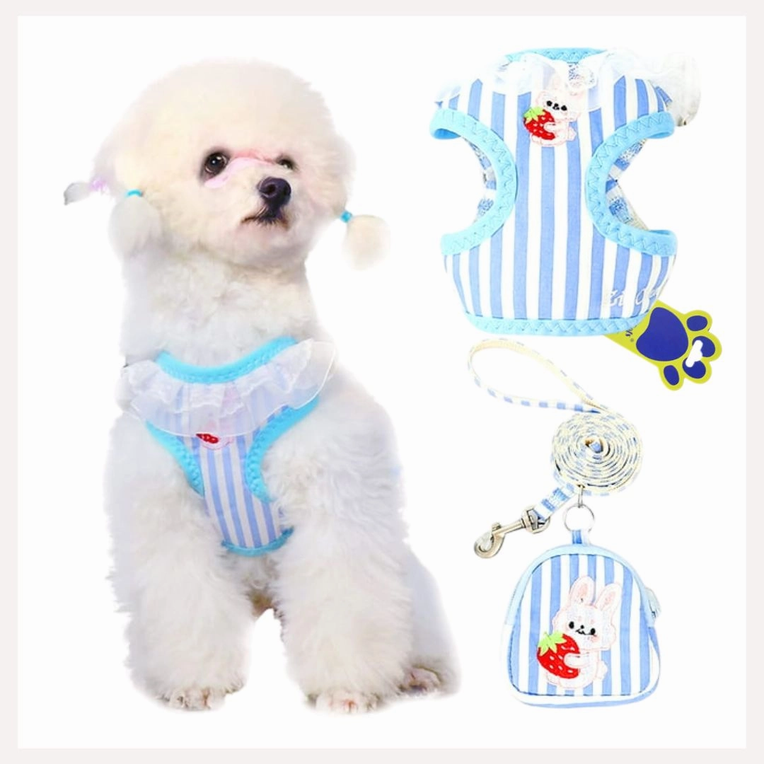 A a Pets' Combo of 3 BackPack Harness, Leash & Bag Set - Stripes