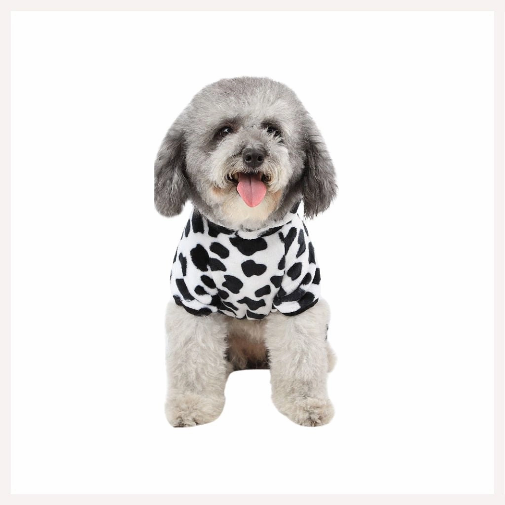 A a Pets' Costume/Dress for Cats And Small Dogs