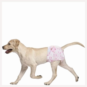 A a Pets' Disposable Leak Proof Diapers for Female Dogs - Pack of 10