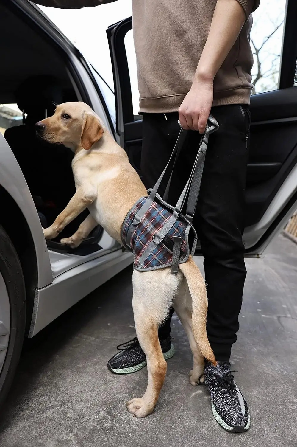 A a Pets' Dog Lift Support Harness for Hind / Back Legs
