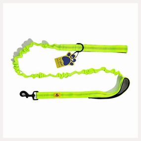 A a Pets' Dual Handle Bungee Leash