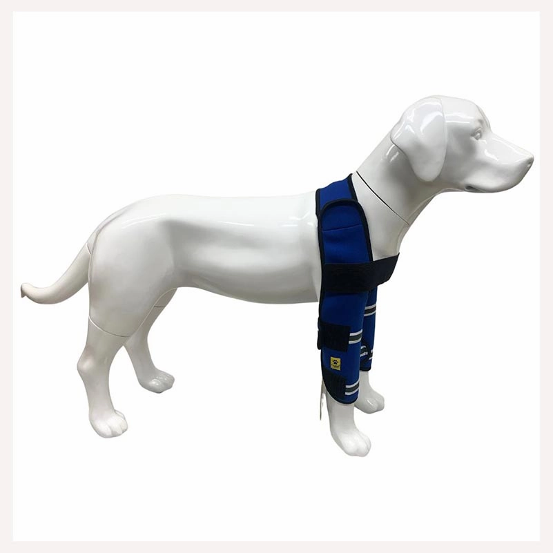 A a Pets' Elbow Brace & Shoulder Support for Dogs for Front legs