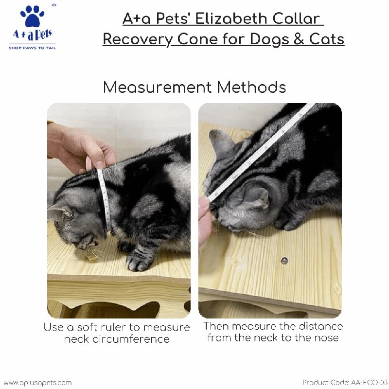 A a Pets' Elizabeth Collar Recovery Cone for Dogs & Cats