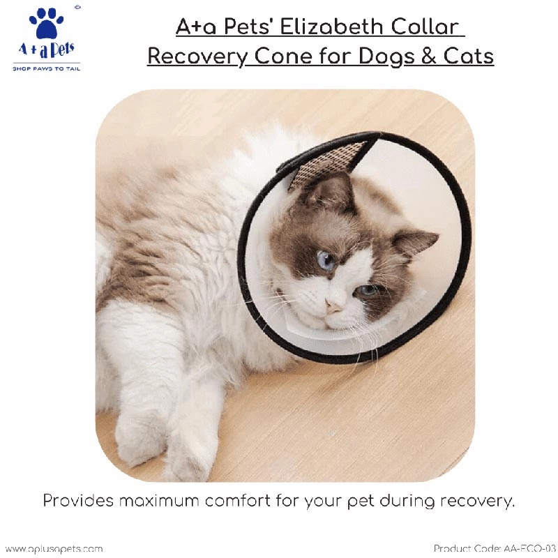 A a Pets' Elizabeth Collar Recovery Cone for Dogs & Cats