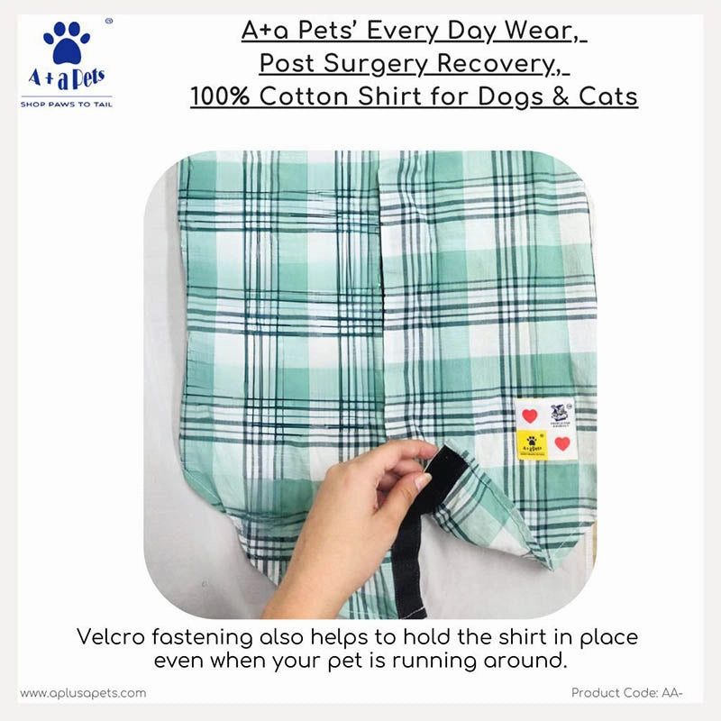 A a Pets?? Every Day Shirt for Dogs & Cats