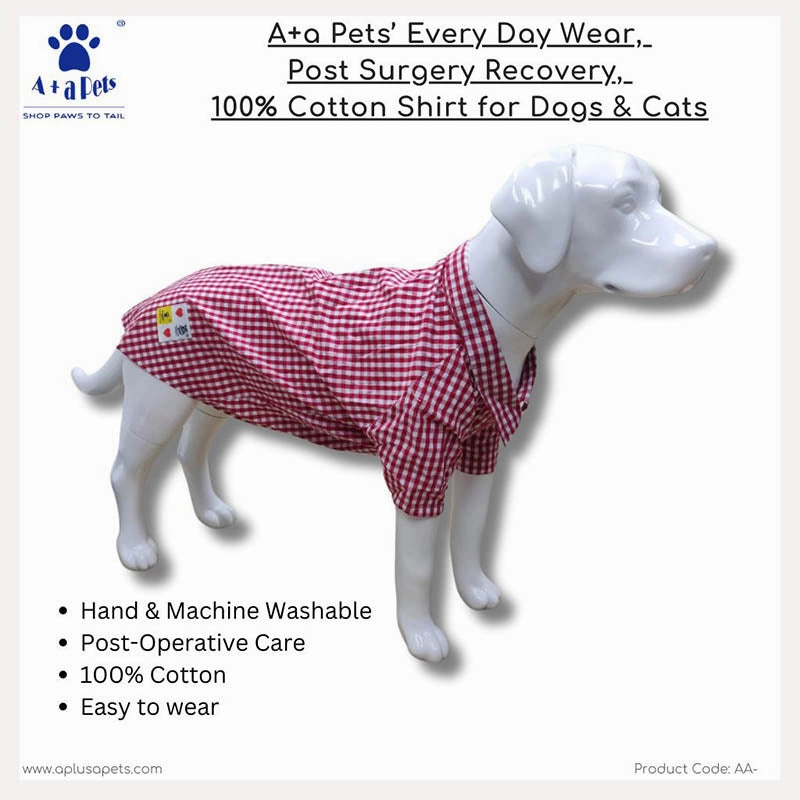 A a Pets?? Every Day Shirt for Dogs & Cats