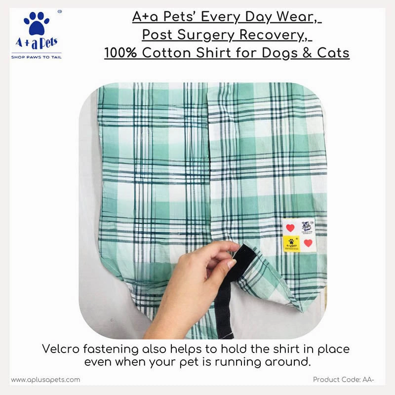 A a Pets?? Every Day Shirt for Dogs & Cats