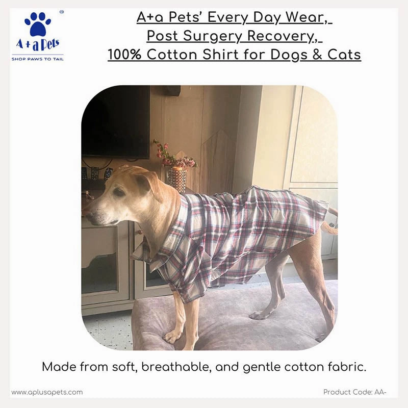 A a Pets?? Every Day Shirt for Dogs & Cats