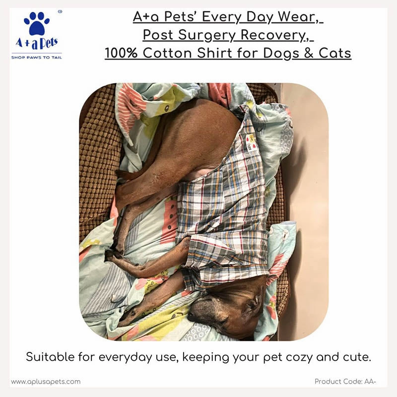 A a Pets?? Every Day Shirt for Dogs & Cats