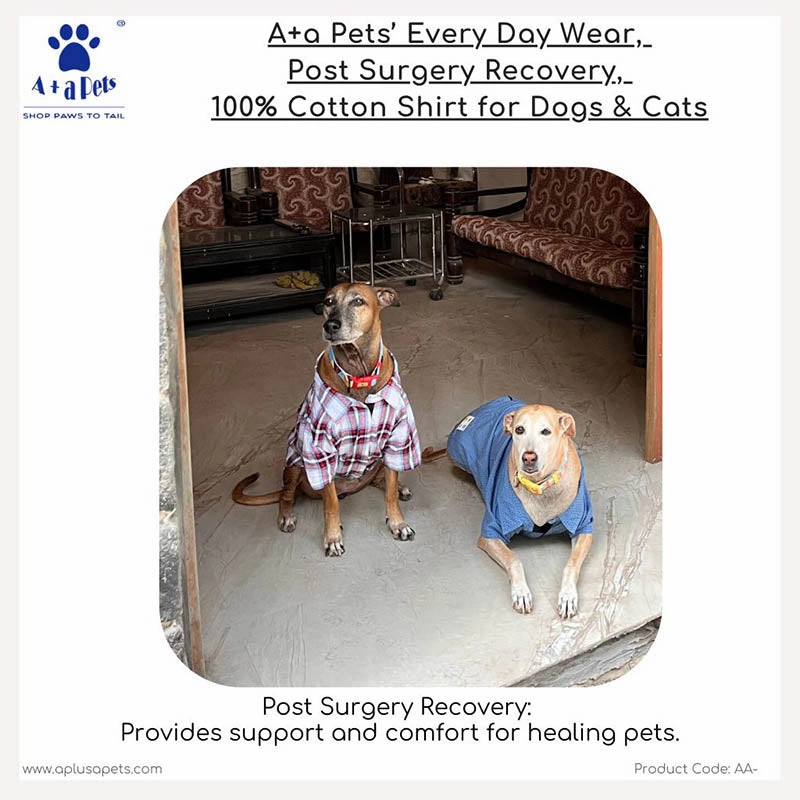 A a Pets?? Every Day Shirt for Dogs & Cats