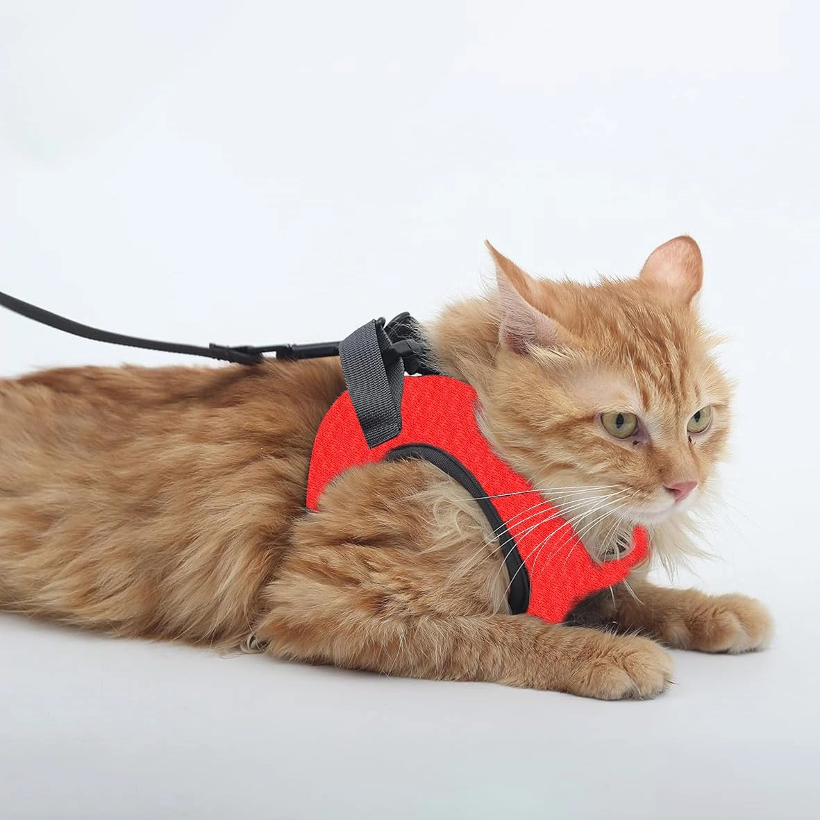 A a Pets' Feather Weight' Harness & Leash Set for Cats & Small Dogs