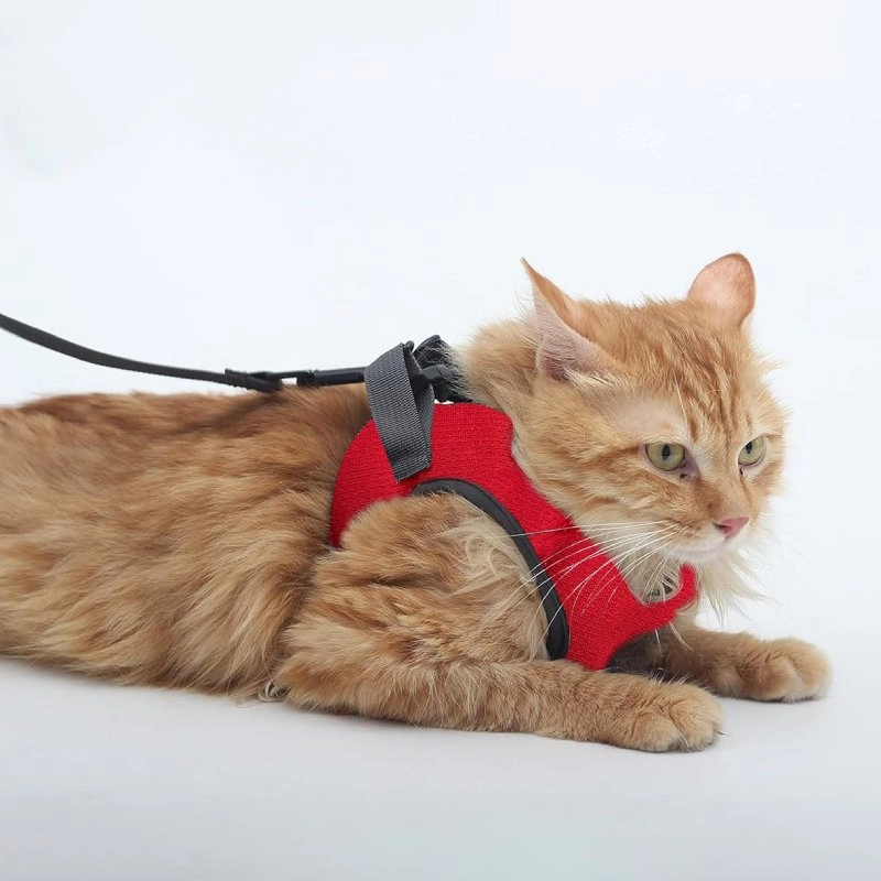 A a Pets' Feather Weight' Harness & Leash Set for Cats & Small Dogs
