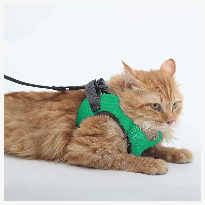A a Pets' Feather Weight' Harness & Leash Set for Cats & Small Dogs