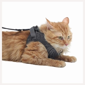A a Pets' Feather Weight' Harness & Leash Set for Cats & Small Dogs