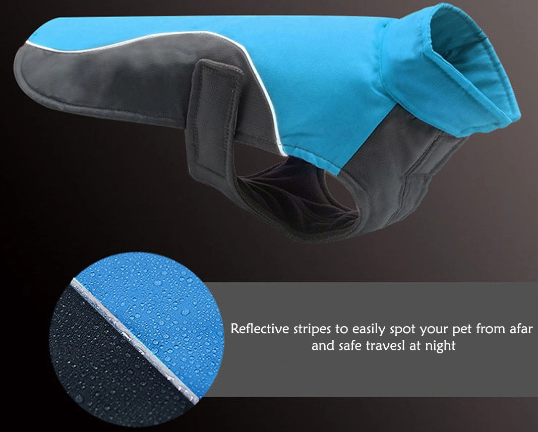 A a Pets' Free & Wild?? Rain Jacket for Dogs