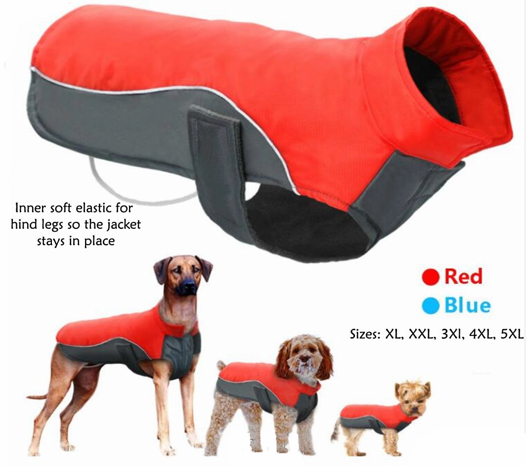 A a Pets' Free & Wild?? Rain Jacket for Dogs
