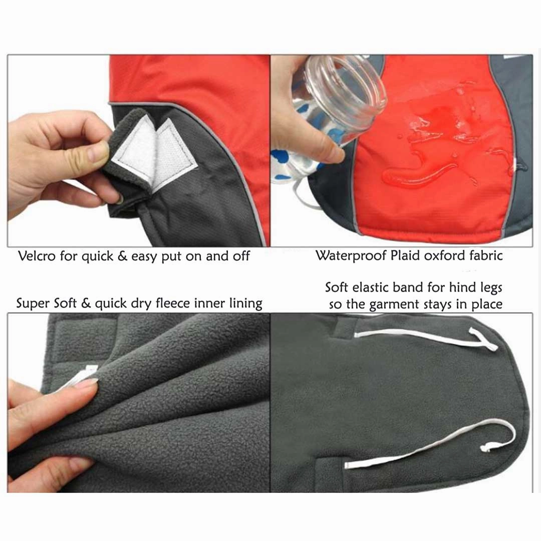 A a Pets' Free & Wild?? Rain Jacket for Dogs
