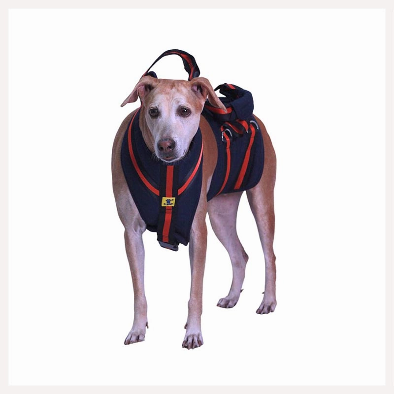 A a Pets' Full Body Support Harness for Dogs with Lift Sling Belt