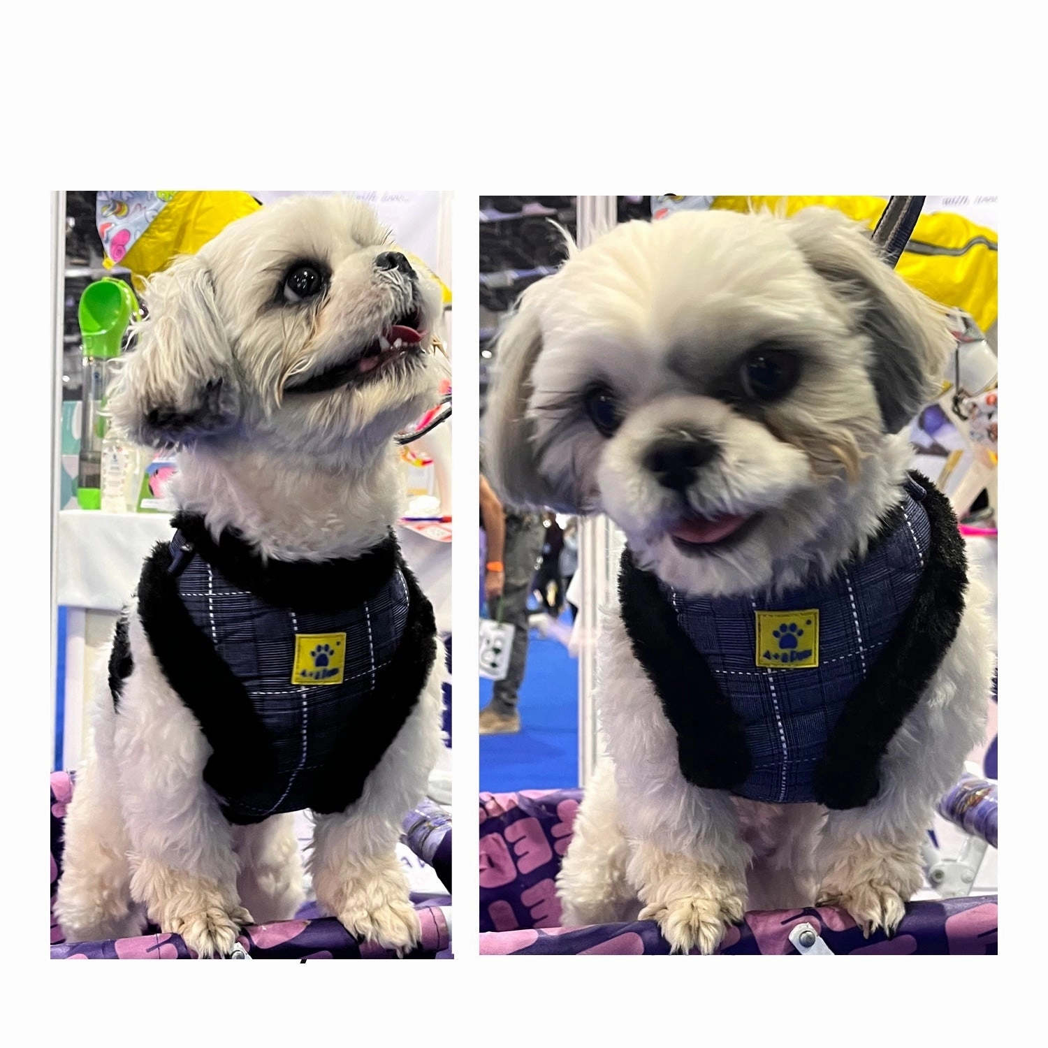 A a Pets' Fur Harness & Leash Set for Cats & Small Dogs