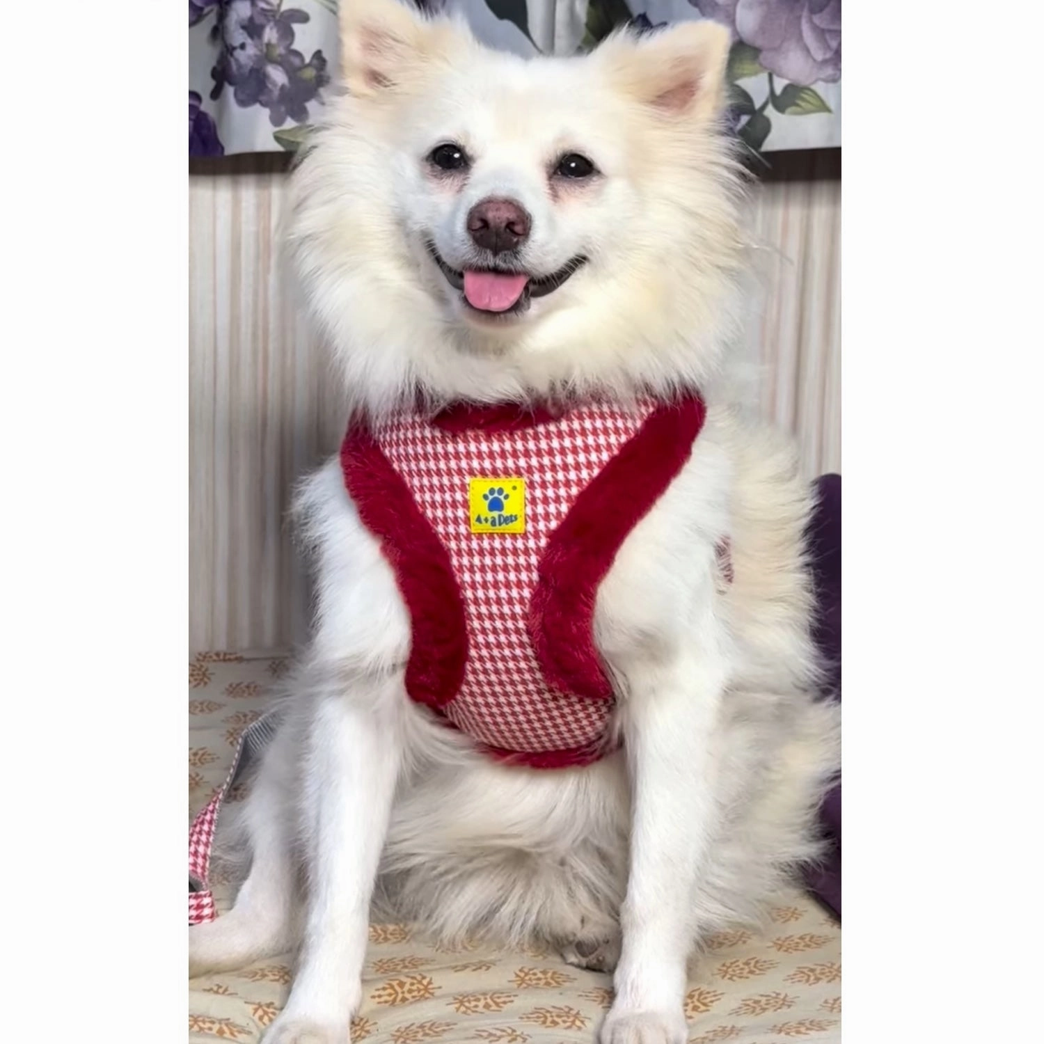 A a Pets' Fur Harness & Leash Set for Cats & Small Dogs