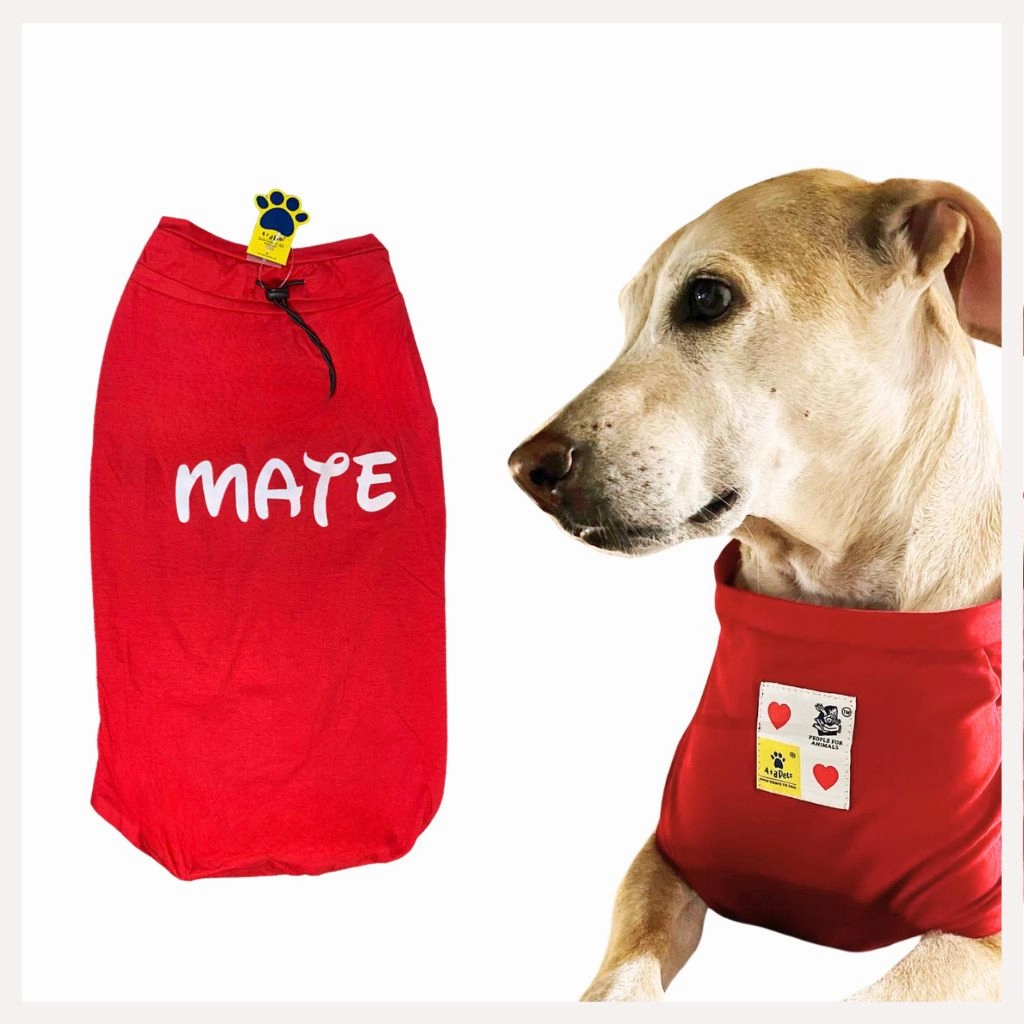 A a Pets' Graphic Printed (Mate) T-Shirt for Dog, Puppy and Cat | Round Neck | Breathable Costumes | 100% Cotton