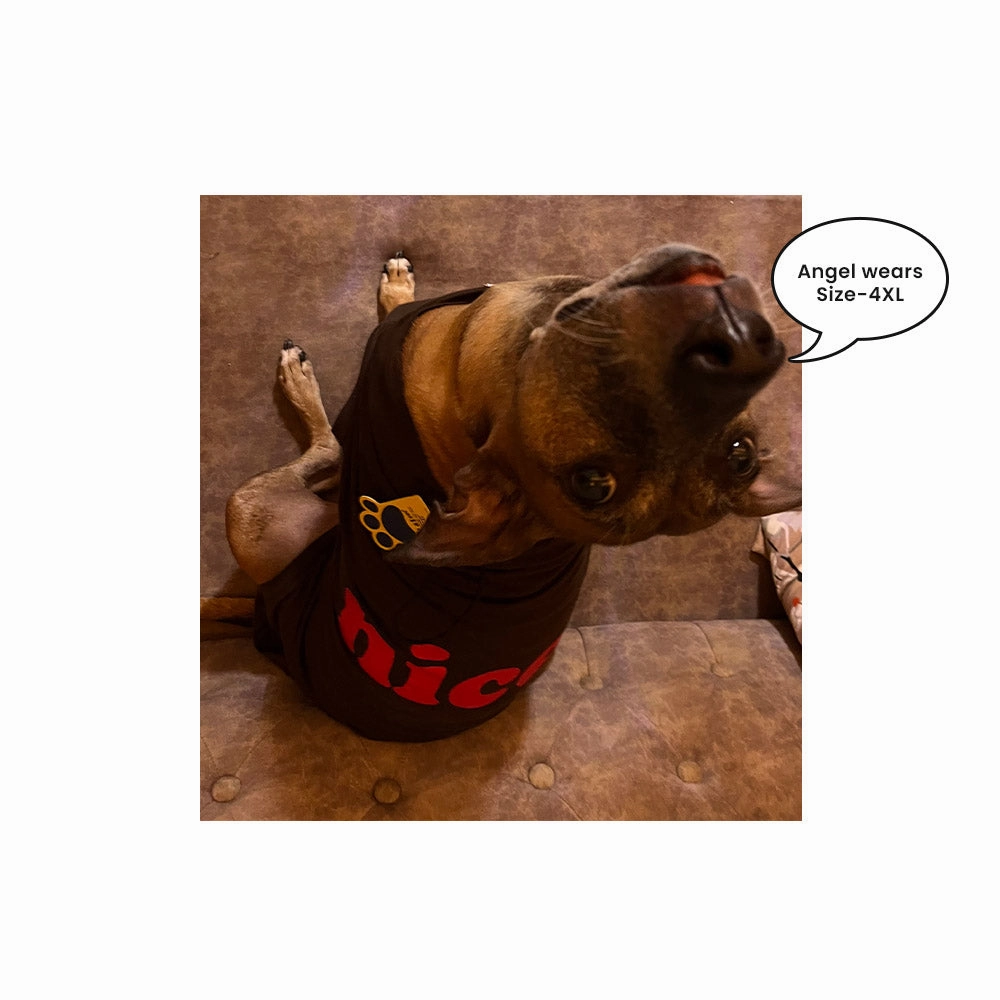 A a Pets' Graphic Printed (Nice) T-Shirt for Dog, Puppy and Cat | Round Neck | Breathable Costumes | 100% Cotton