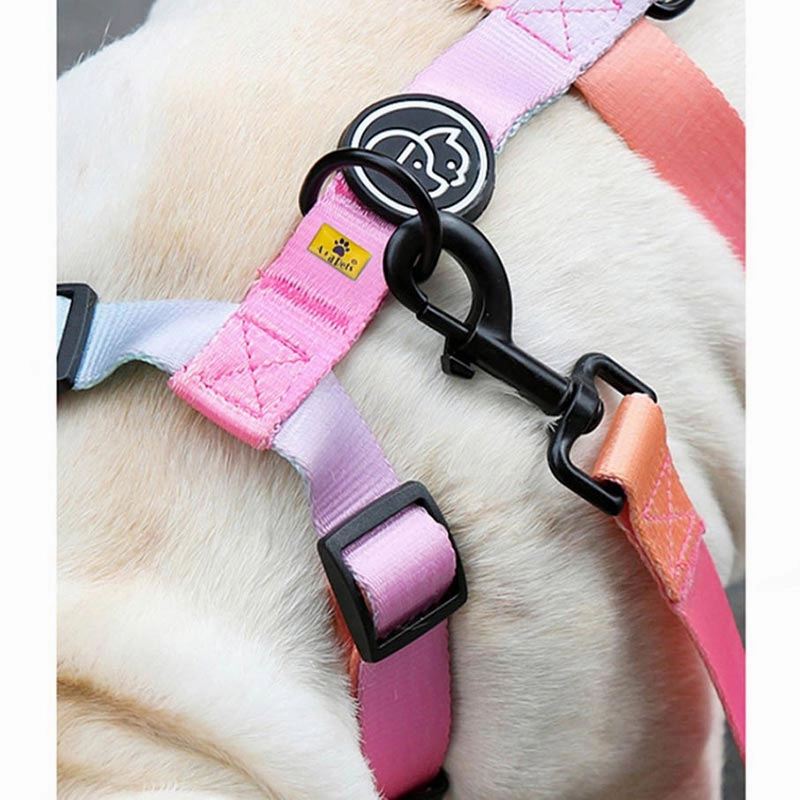 A a Pets' H Harness for Dogs & Cats Gradient Design