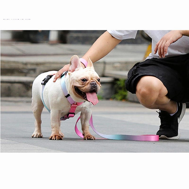 A a Pets' H Harness for Dogs & Cats Gradient Design