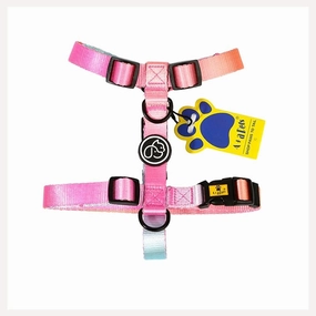 A a Pets' H Harness for Dogs & Cats Gradient Design