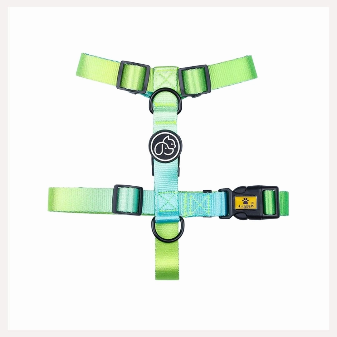 A a Pets' H Harness for Dogs & Cats Gradient Design