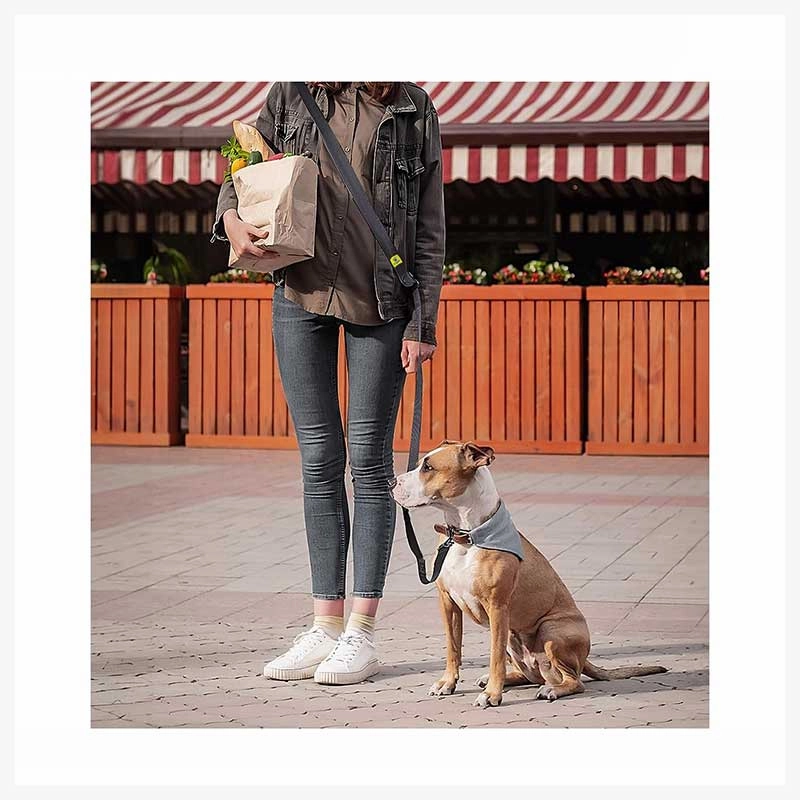 A a Pets?? Hands Free Waist Tie-up Adjustable Leash